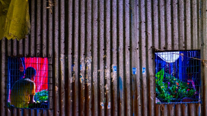 Person sitting by a window daydreaming, representing the lost art of boredom and idle creativity
